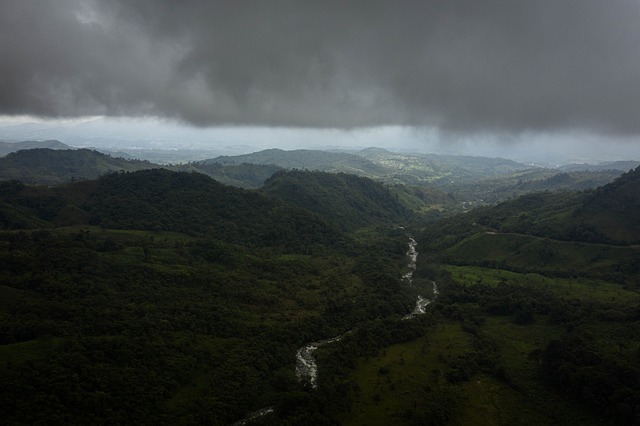 Jungle Survival: Navigating the Dangers of the Amazon